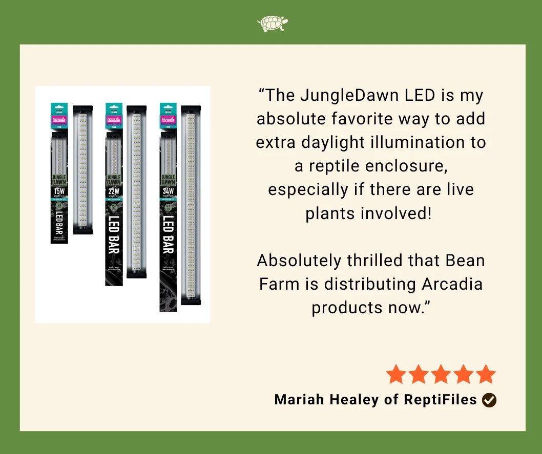 Jungle Dawn LED Bar (22.5", 34 Watt) - Image 6
