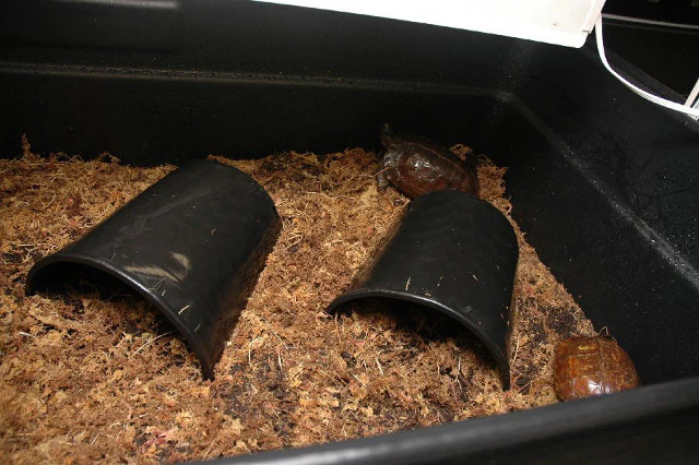 Waterland Tub Medium Land Enclosure - Image 2