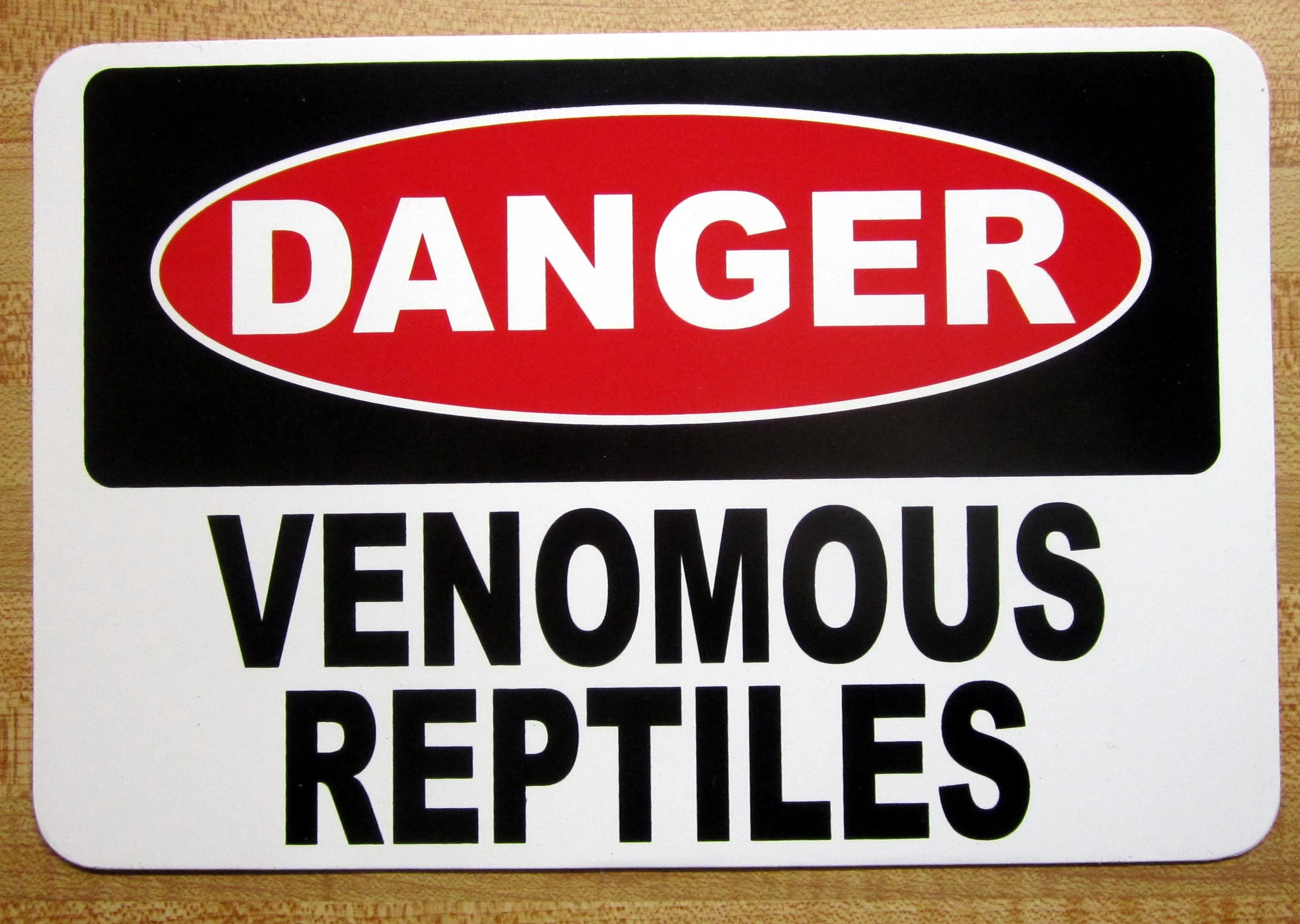 Reptile Bucket Sticker - Image 2